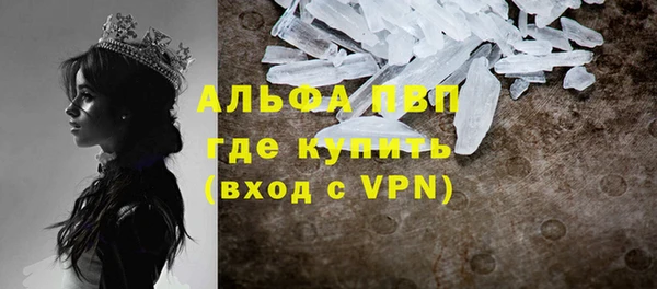 мдпв Дмитров