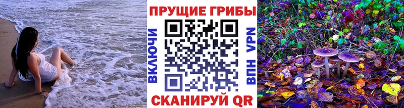 Псилоцибиновые грибы Psilocybine cubensis  где купить наркоту  Александровск-Сахалинский 